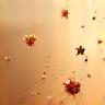 Abstract spice illustration