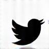 Twitter (X)